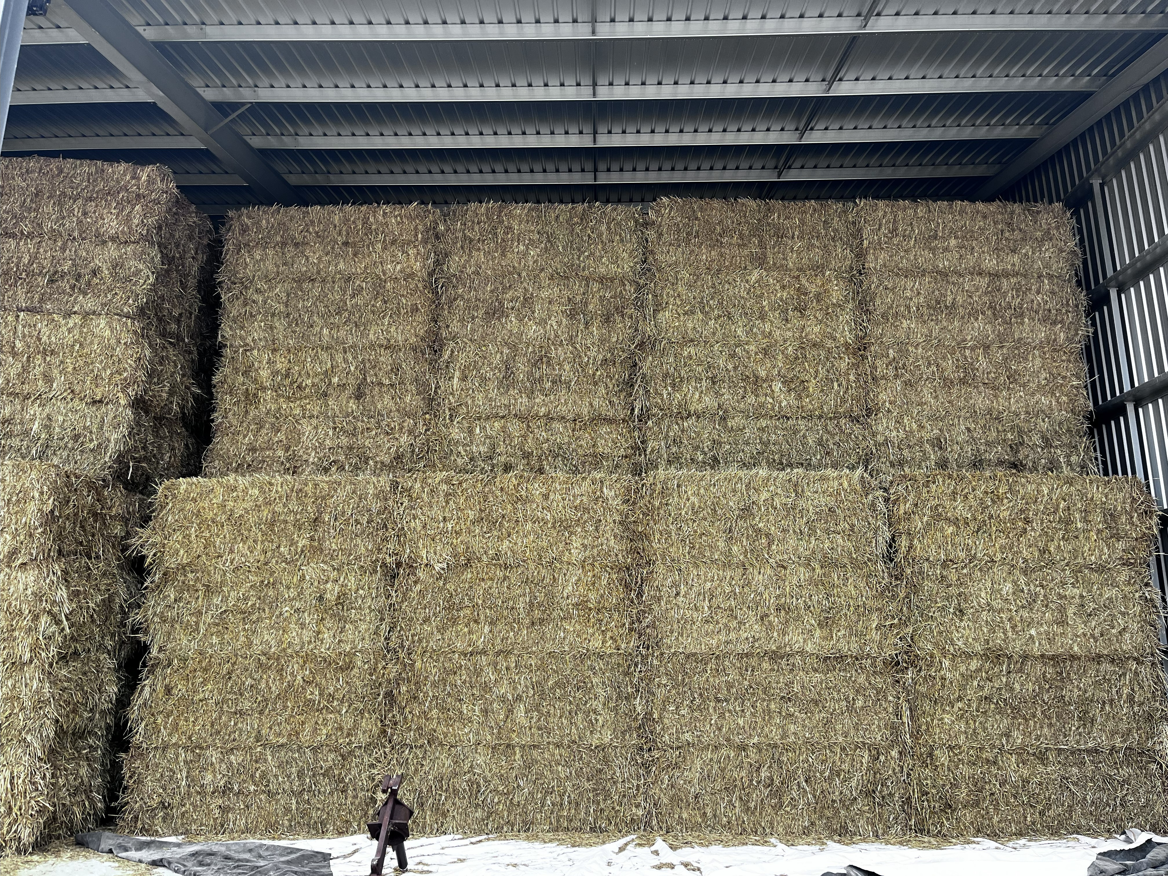 IMG 17701 Oaten Hay 2025